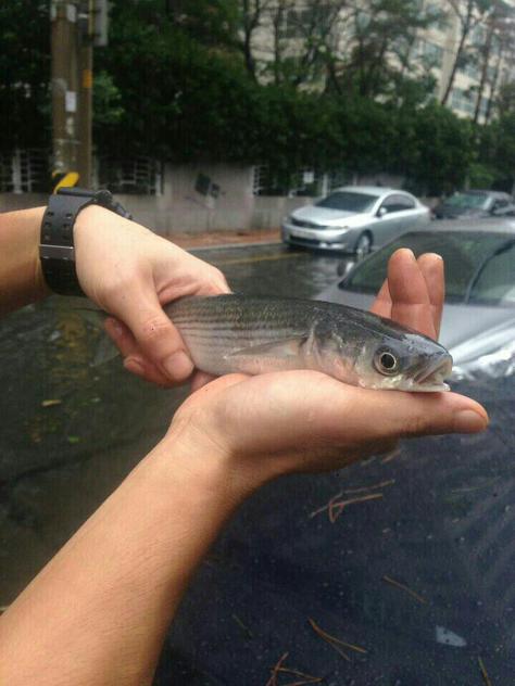 부산태풍.jpg