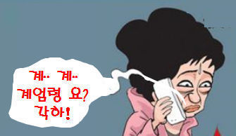 계엄1.jpg