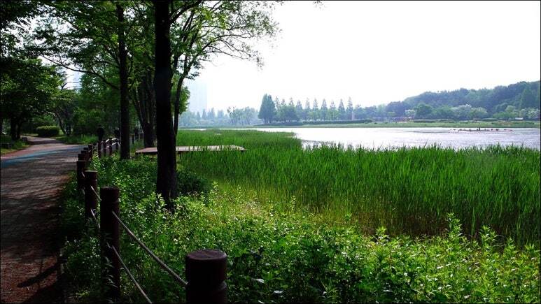 2025. 5. 13 안산호수공원 정경