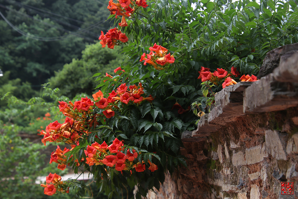 경남고성 학동마을