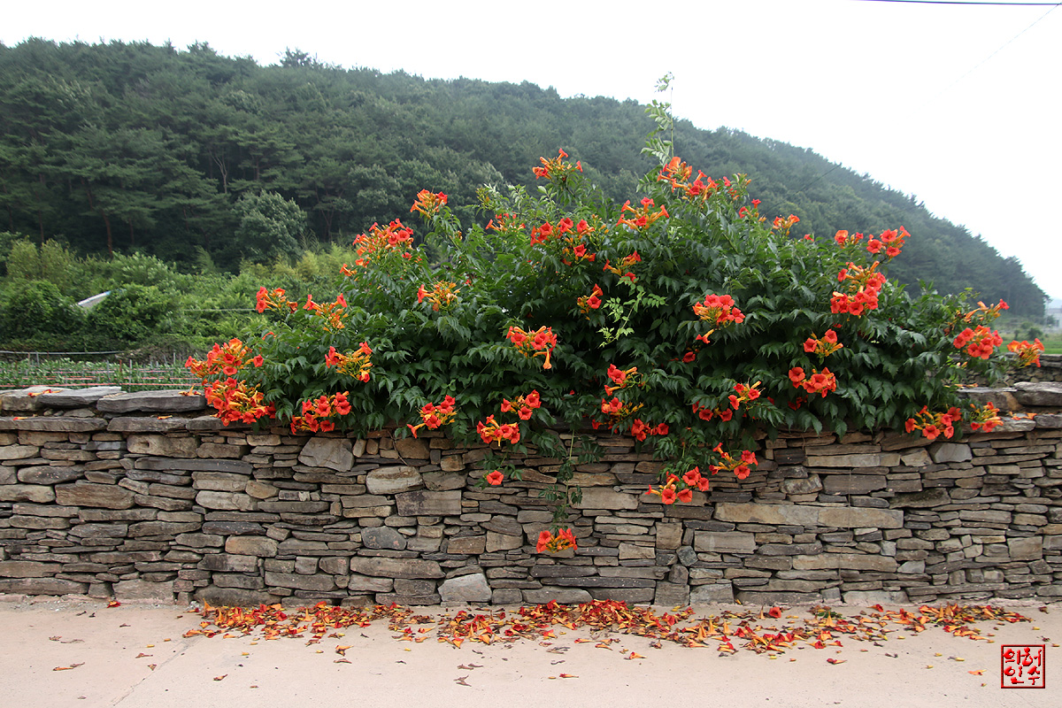 경남고성 학동마을
